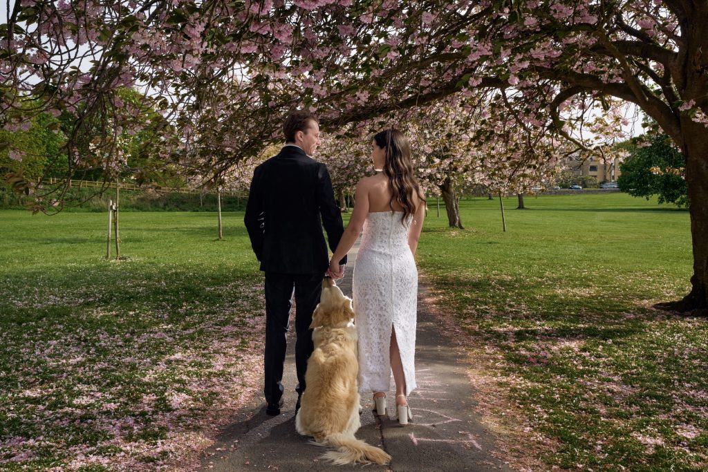 Bride and groom under cherry blossoms at The Stray in Harrogate